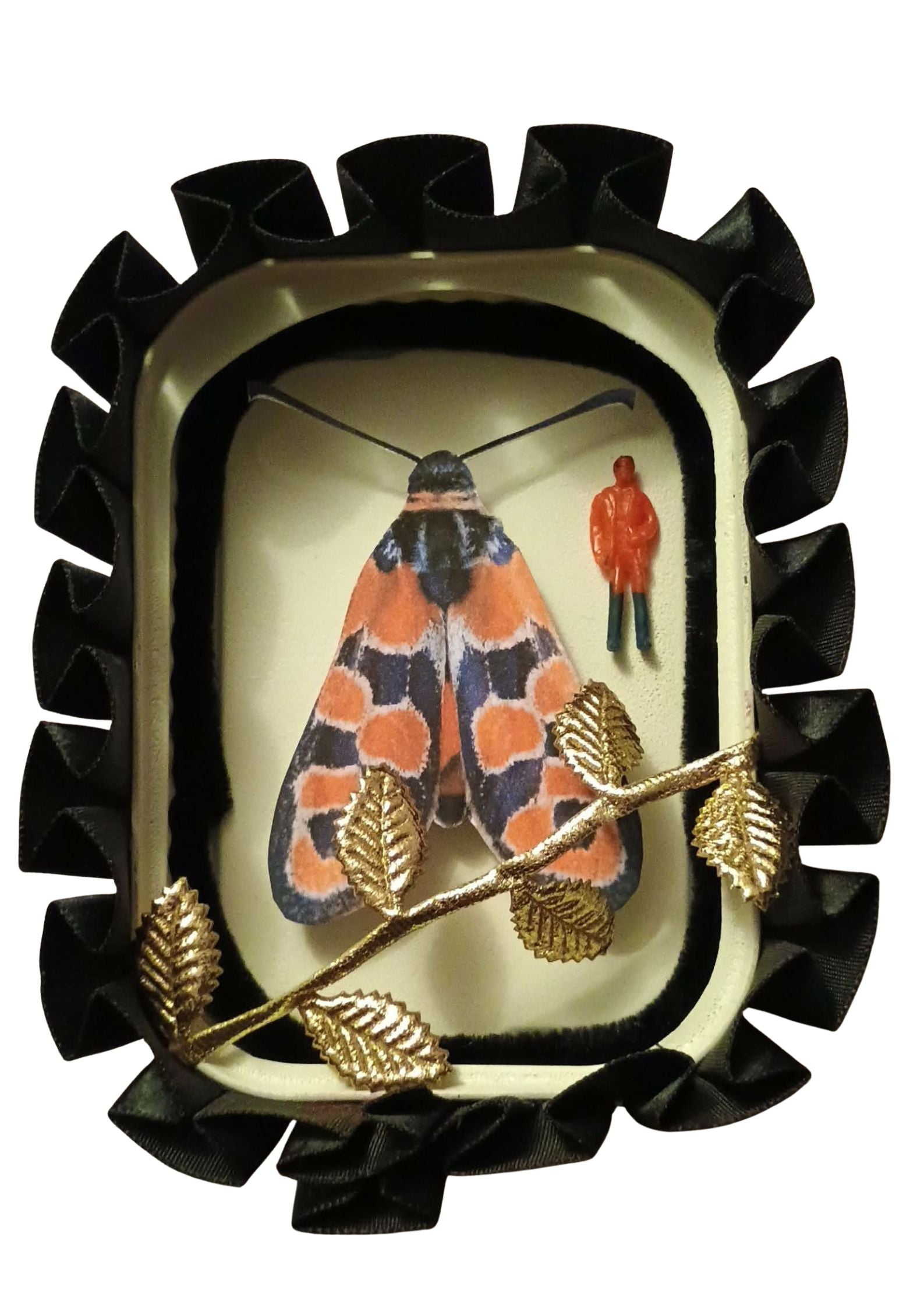 Boite PAPILLON