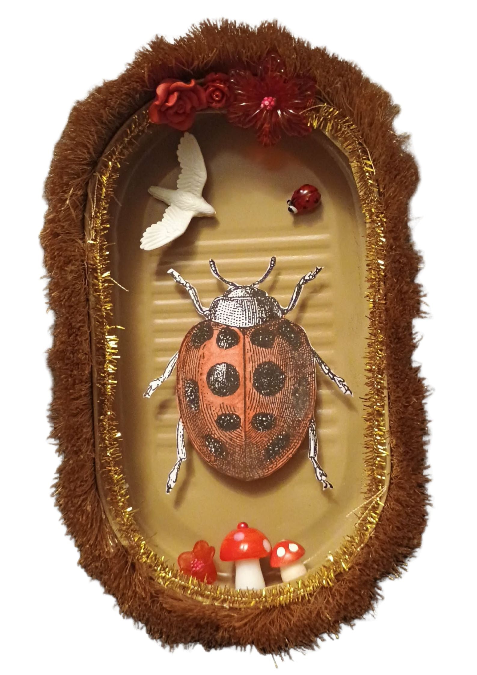 Boite COCCINELLE